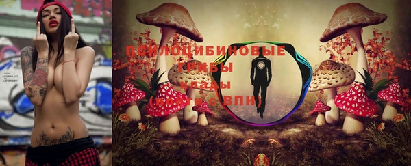 стаф Армянск